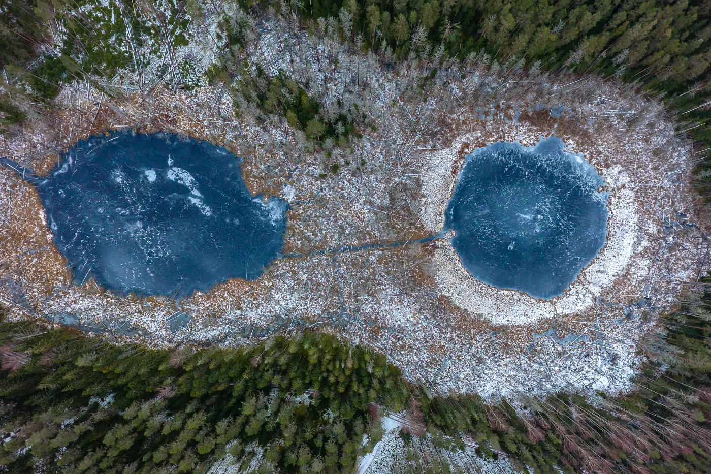 Kaks järvesilma metsa sees. Foto: Janek Joab