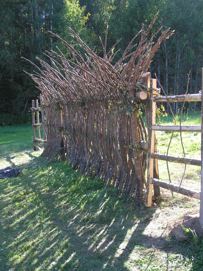 Püstaed Karula rahvuspargis