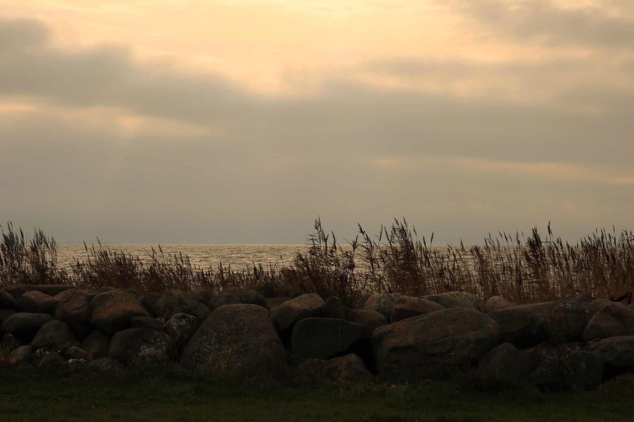 Vaade Puise ninalt, Foto Ave Huugen