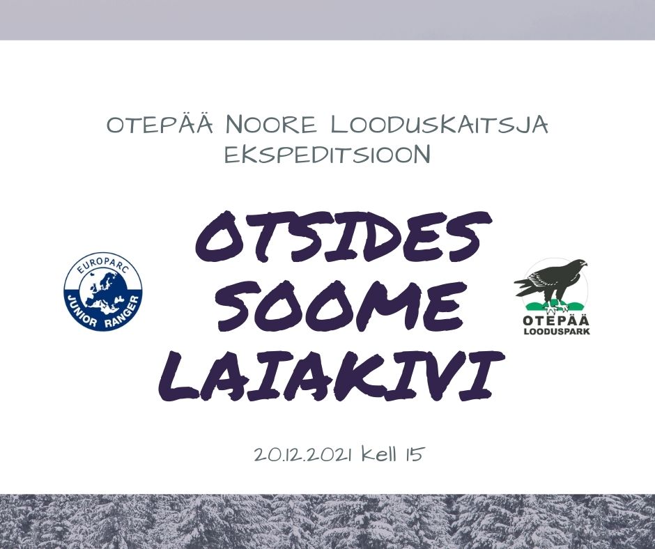 plakat tekstiga otsides soome laiakivi