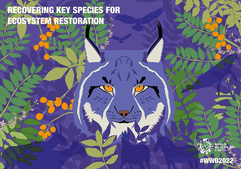 World wildlife day plakat 2022 ilvesega