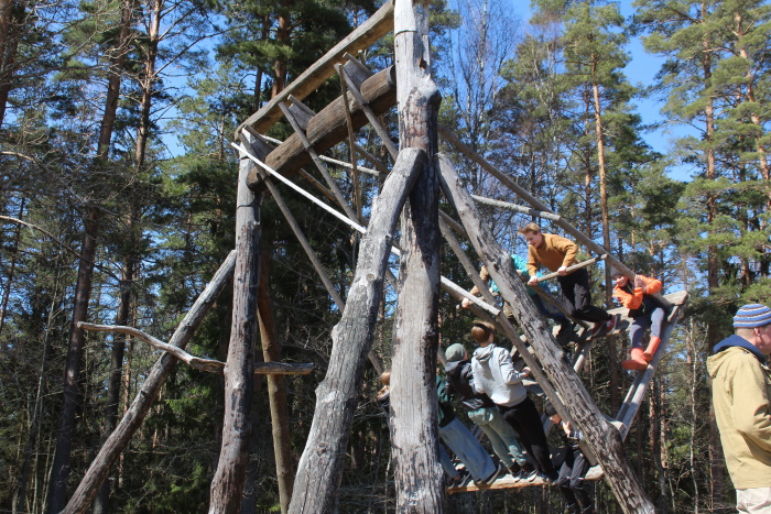 Kiikumine Veskimäe külakiigel