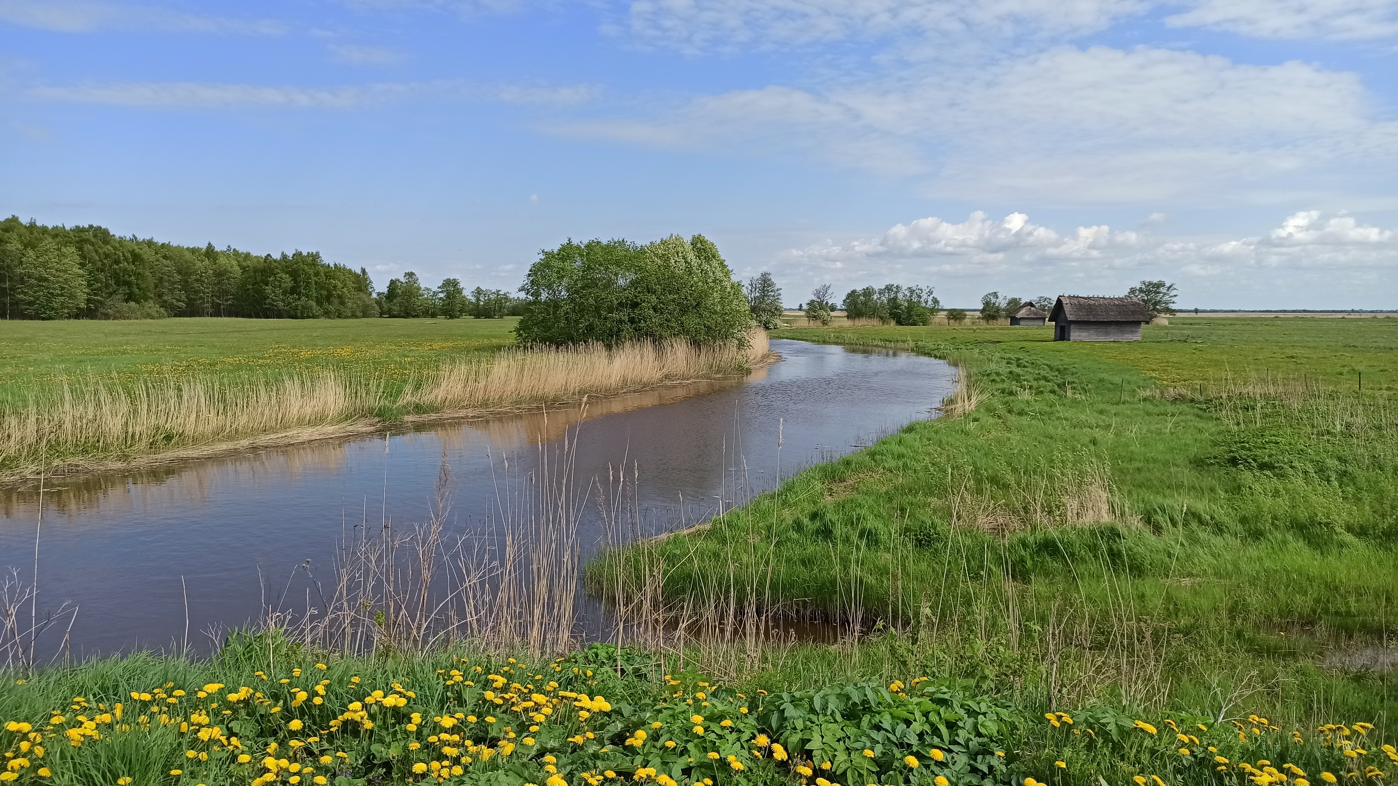 Suitsu jõe vaade