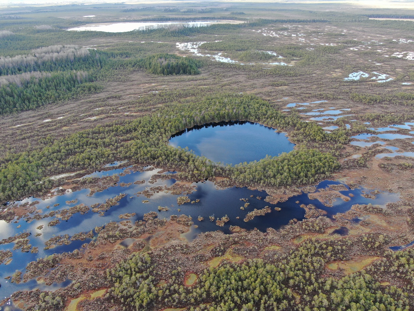 Droonifoto ümarast Pätsulaugast, mis asetseb Toodiksaare rabas