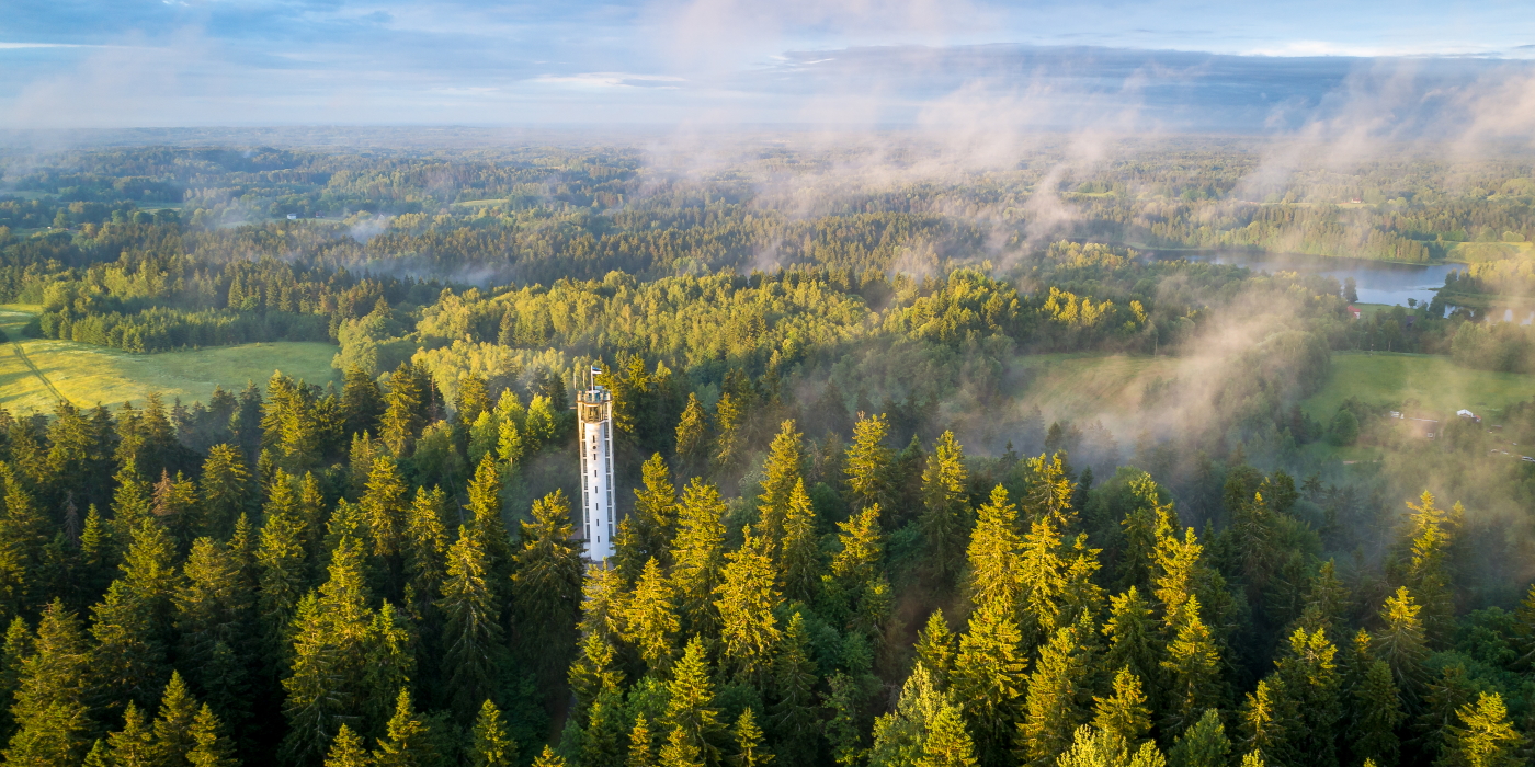 Suur Munamägi, the highest hill in Estonia in light green colours.