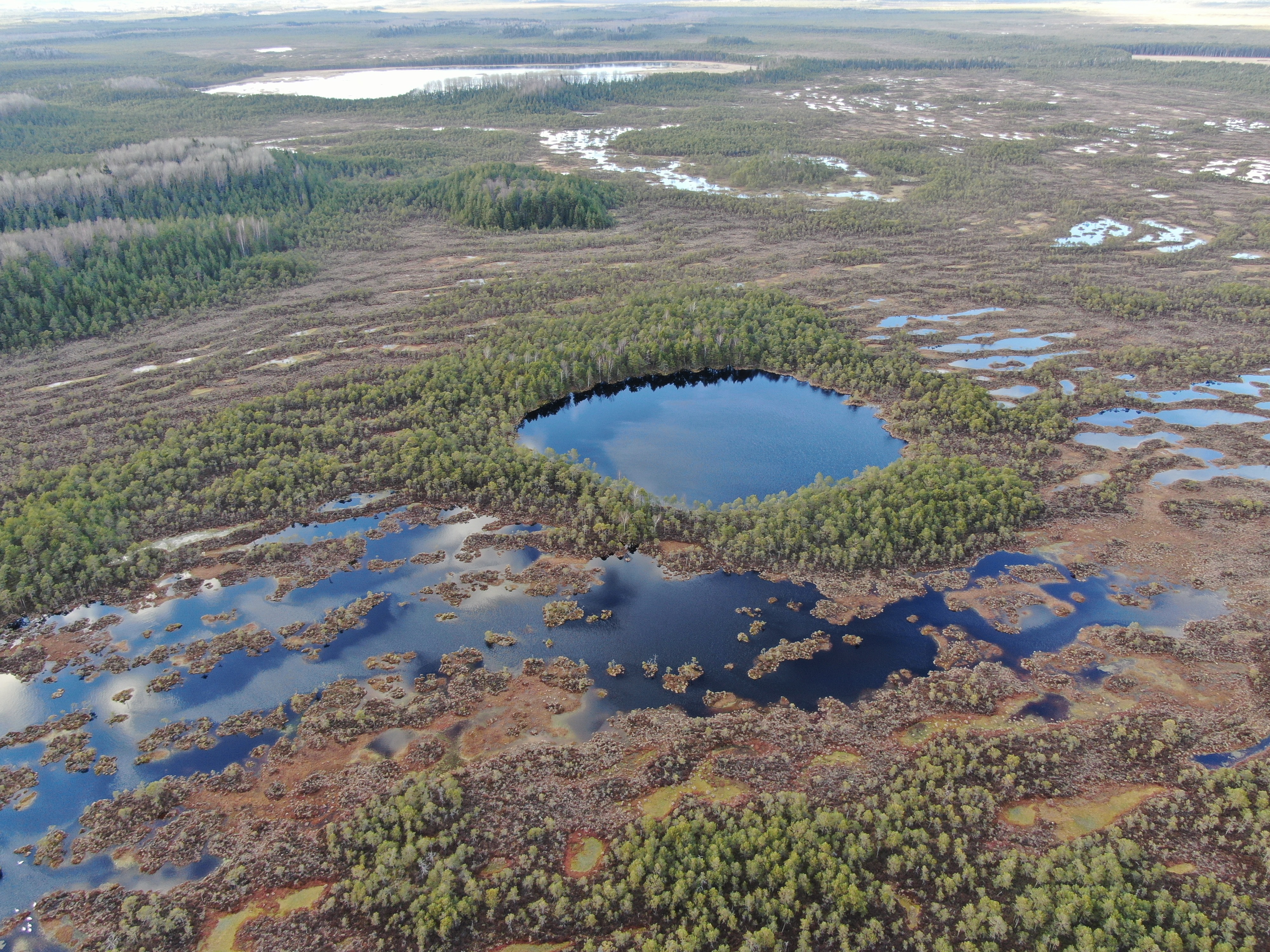 Bog landscape with a round Lake Pätsulaugas