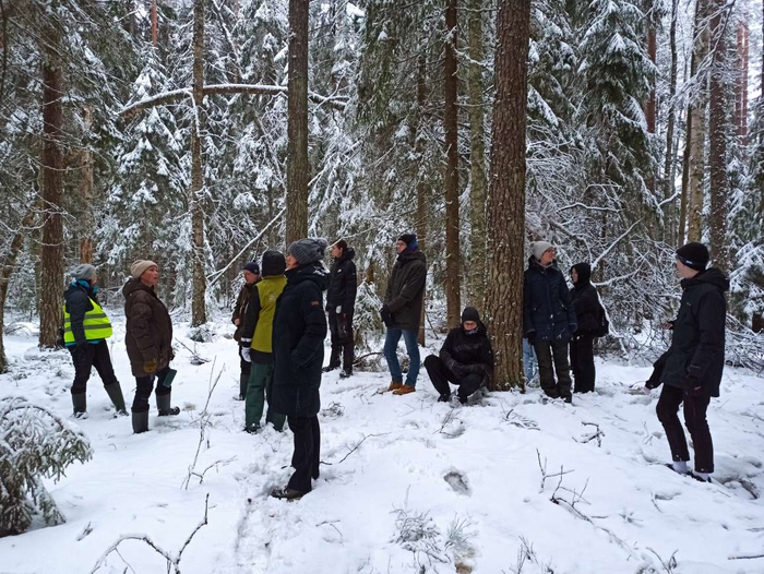 metsas rähne kuulatamas