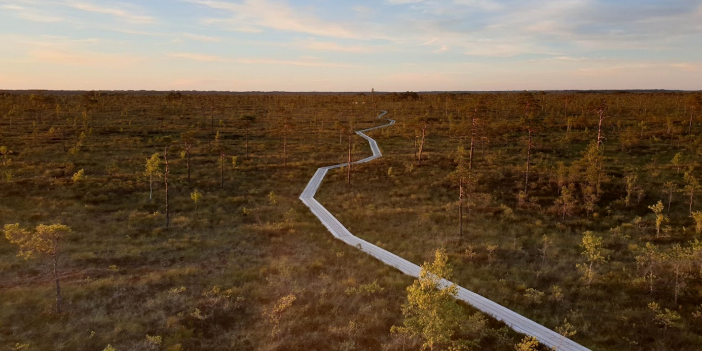 Vaade õhust rabale. Raba keskel kulgeb kaares laudtee.