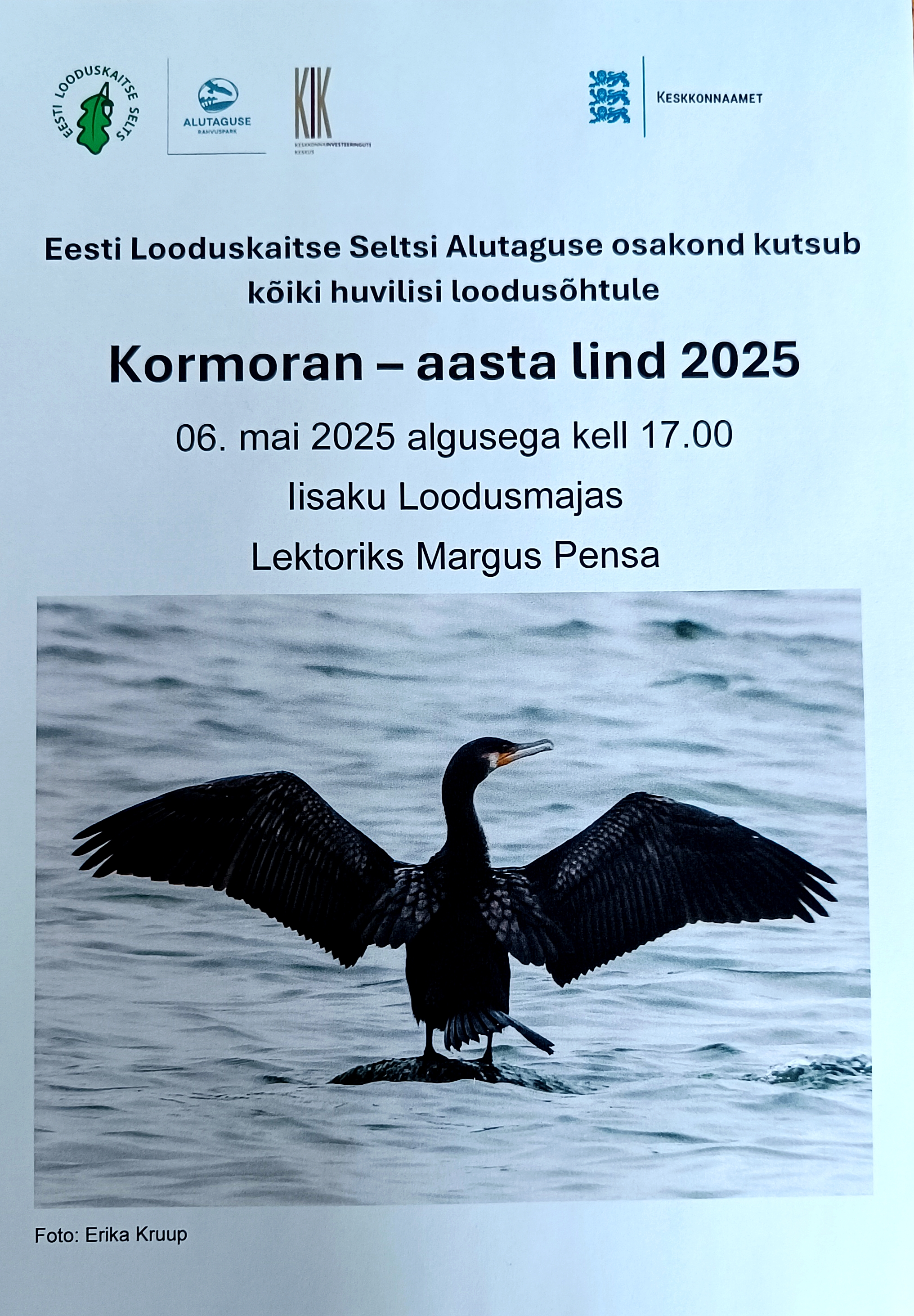 Kutse