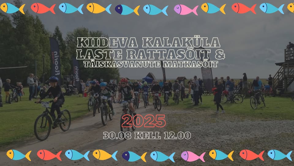 rattasõit