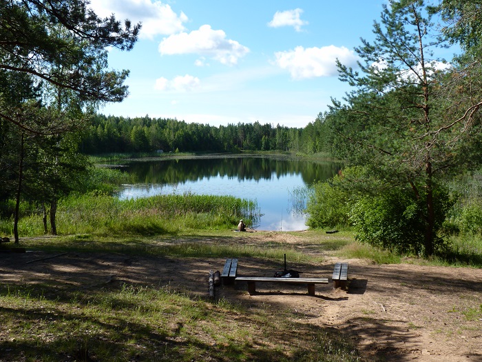 Vaade suvisele Martiska järvele, esiplaanil lõkkekoht ja pingid