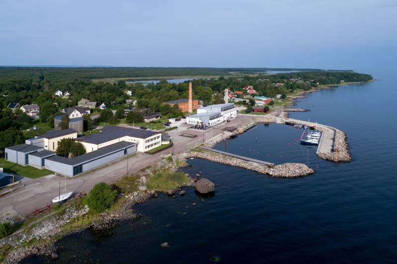 Viinistu