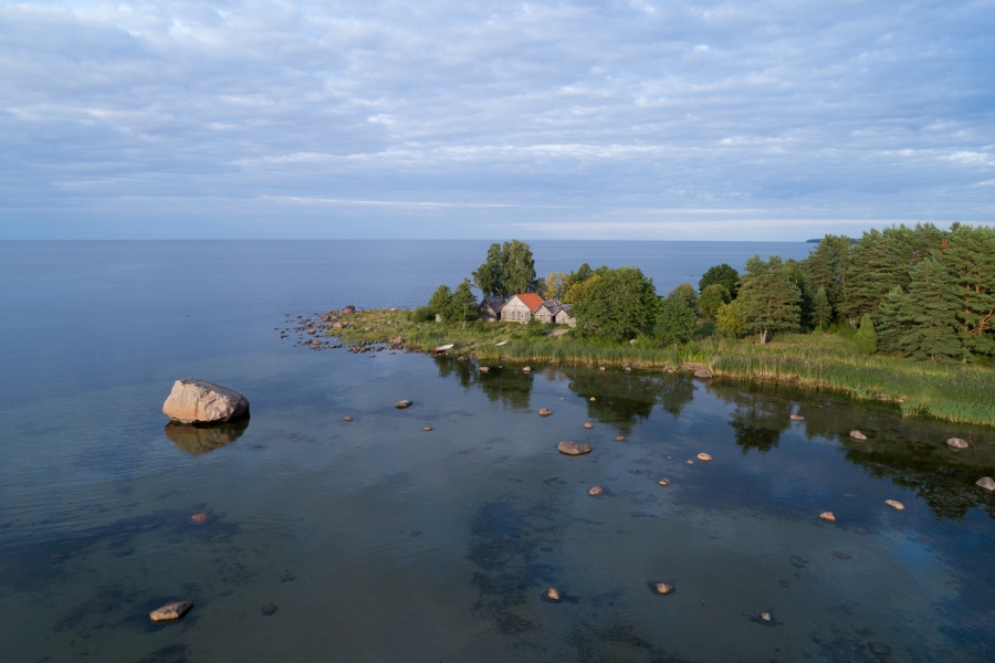 Altja võrgukuurid. Foto: Toomas Tuul