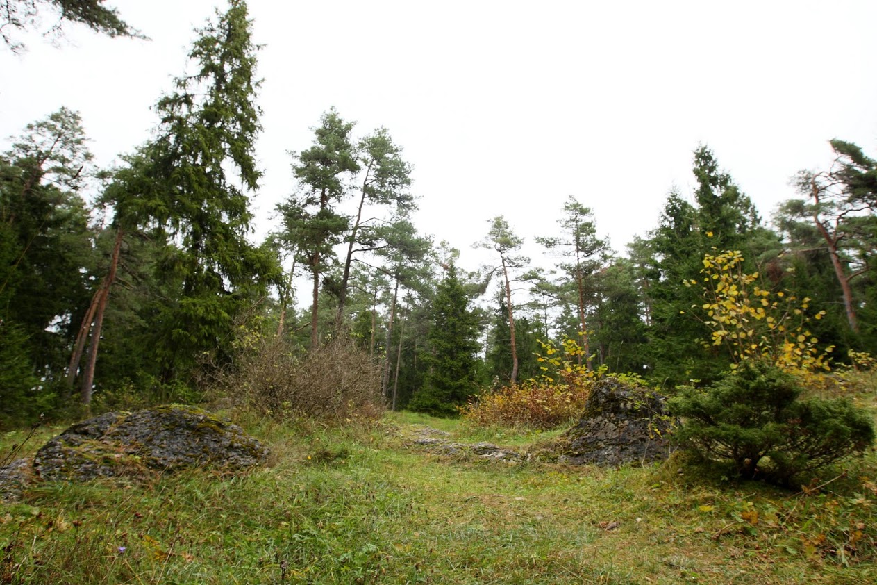 image alt text