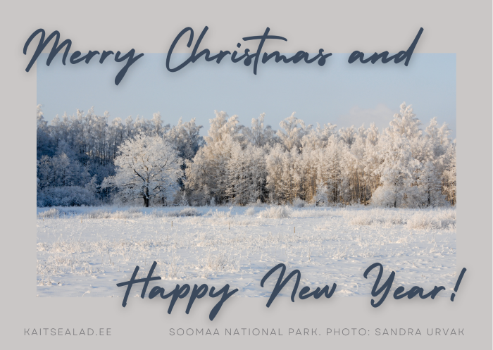 Beautiful white trees and winter landscape.