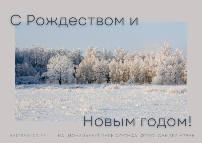 C Рождествoм и Новым годoм!