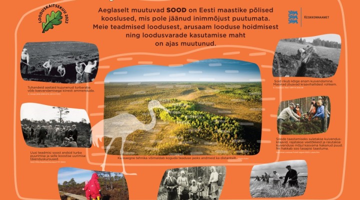Looduskaitsekuu plakat soode muutumise kohta ajas