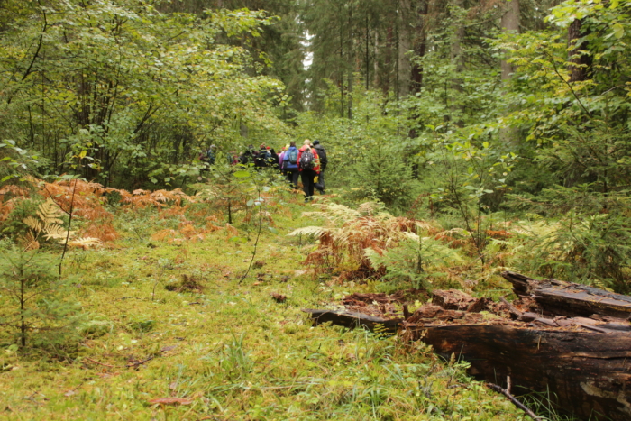 Sügiseses värvikirevas metsas liiguvad inimesed kaugusse