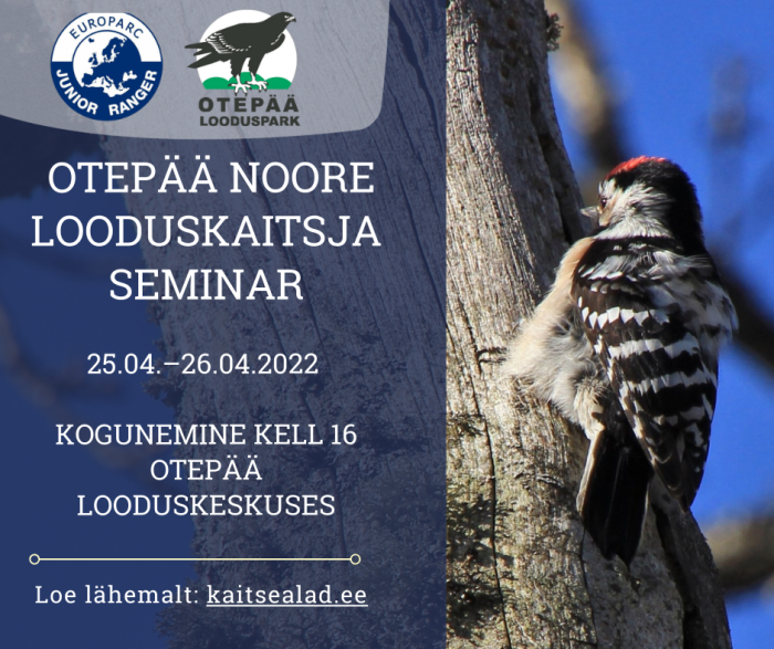 Plakat, millel on väike-kirjurähn ja pealkiri "Otepää noore looduskaitsja seminar 25.-26.04.2022"