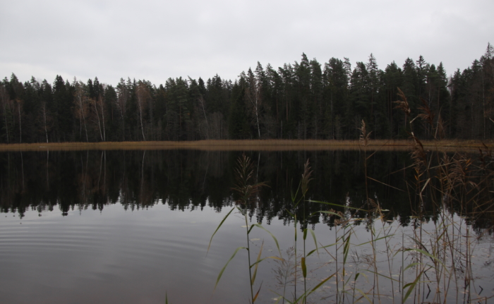 järv ümbritsetuna metsast