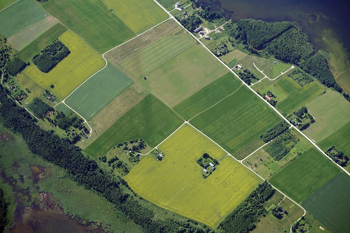 aeral vie from plane above the summer landscape, stripes of farmhouses, fields and forest beside two lakes 