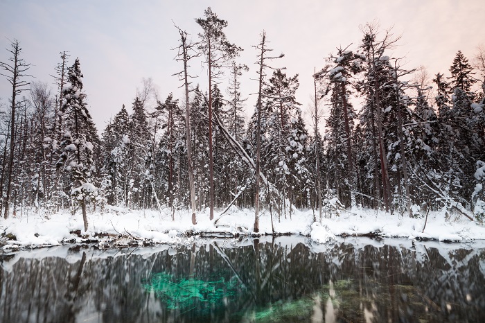 Vilbaste blue spring in Võlinge stream in wintertime