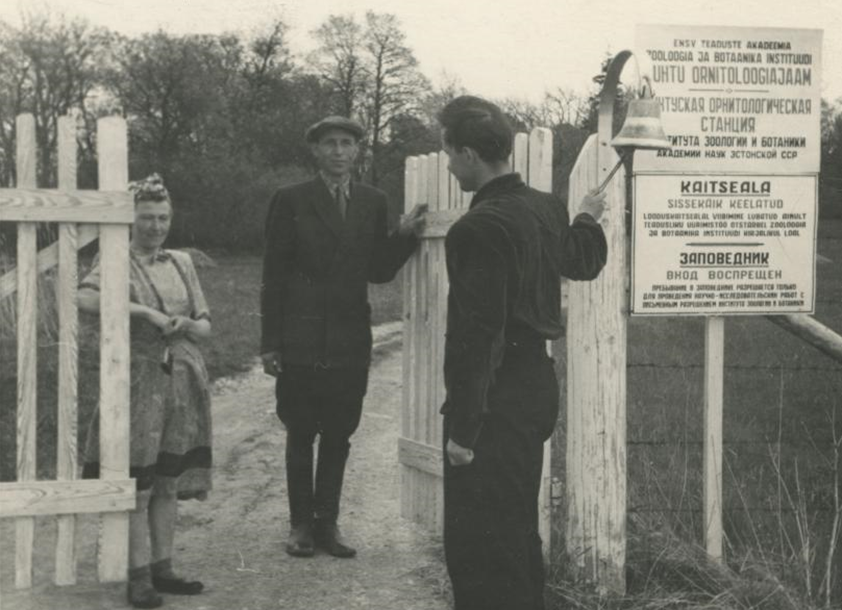 Pildil on Aliide ja Rlmar Savi 1950 ndatel aastatel valgeks värvitud puidust värava juures ja võtavad vastu külalise