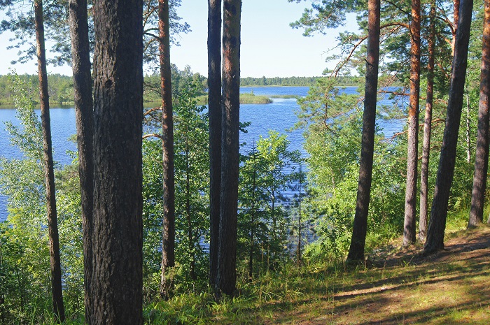 Суурярв, Куртна. Фото: Тийт Кальюсте.