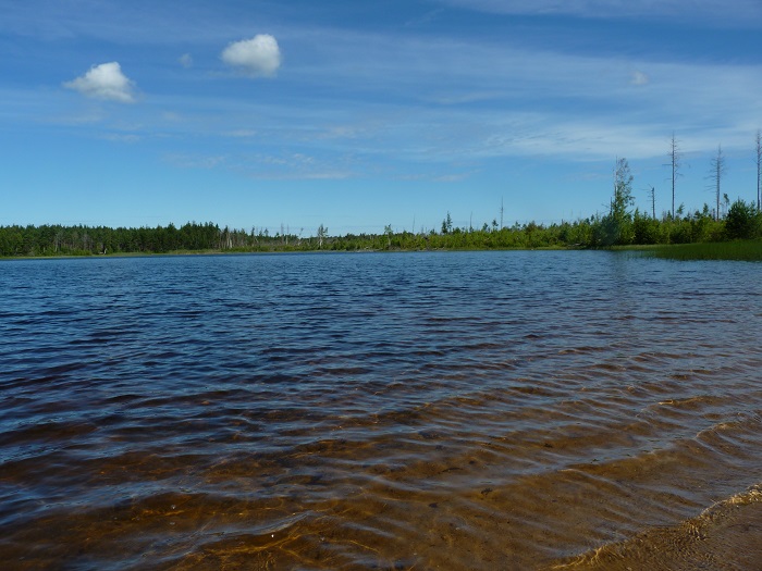 Лийваярв, Ккртны. Фото: Анне-Ли фершель.