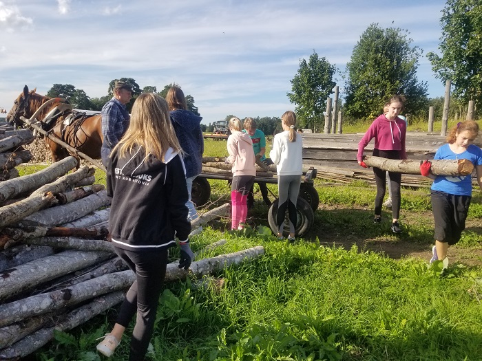 puude hobuvankrist maha laadimine