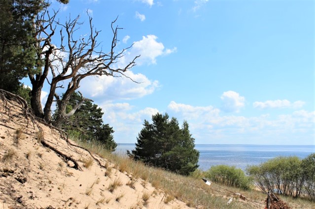 dunes near lake Peipus