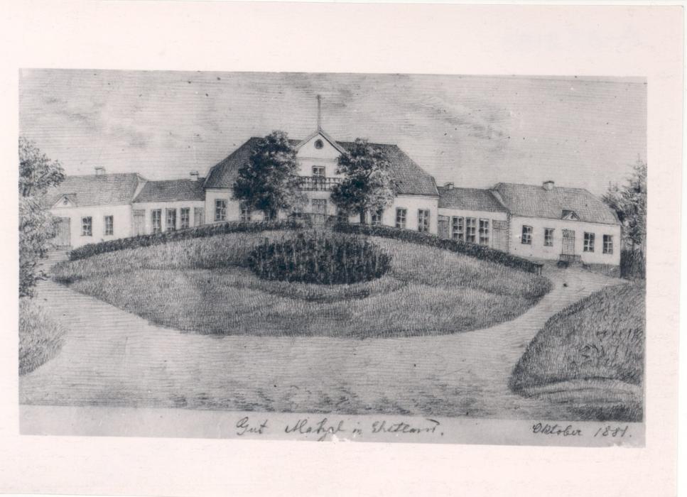 A-37-2183 Matsalu 1881Ed. Bornhöhe pliiatsijoonis
