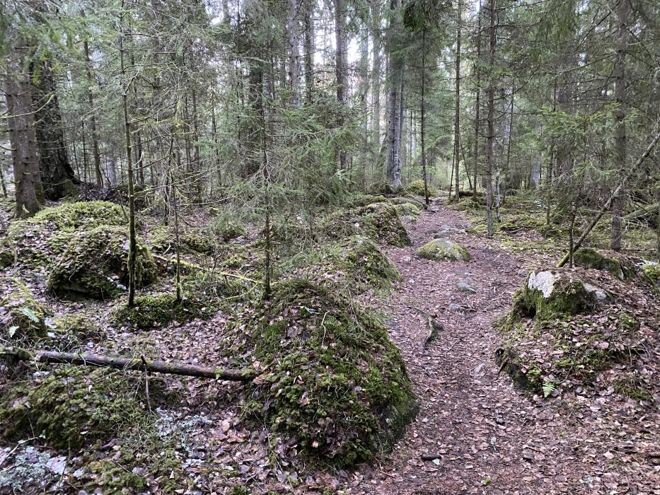 Käsmu poolsaar