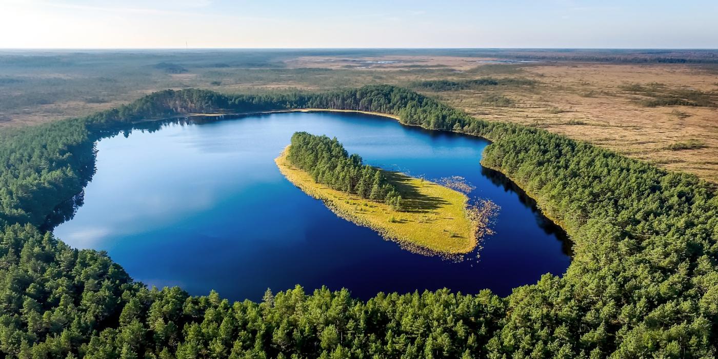 Droonivaade rabajärves asuvale ovaalse kujuga saarele.