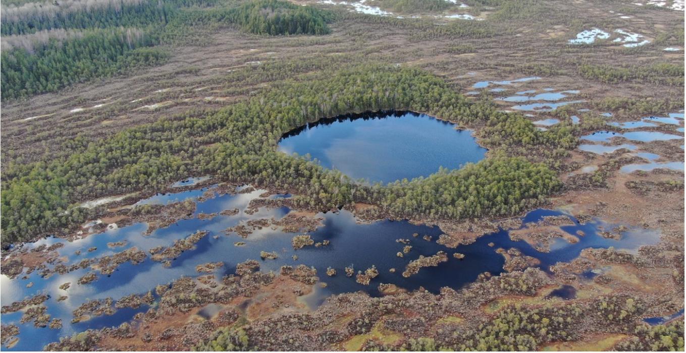 Droonifoto ümarast Pätsulaugast, mis asetseb Toodiksaare rabas