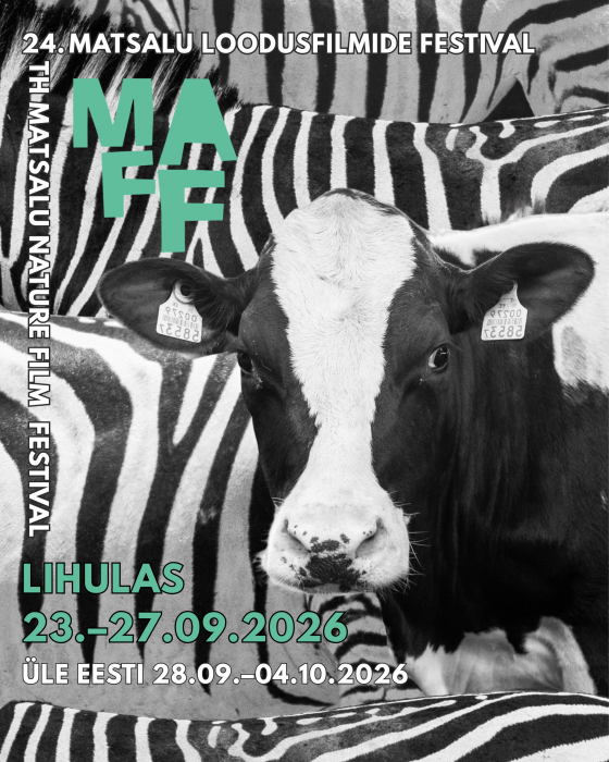 festivali plakatil on lehm