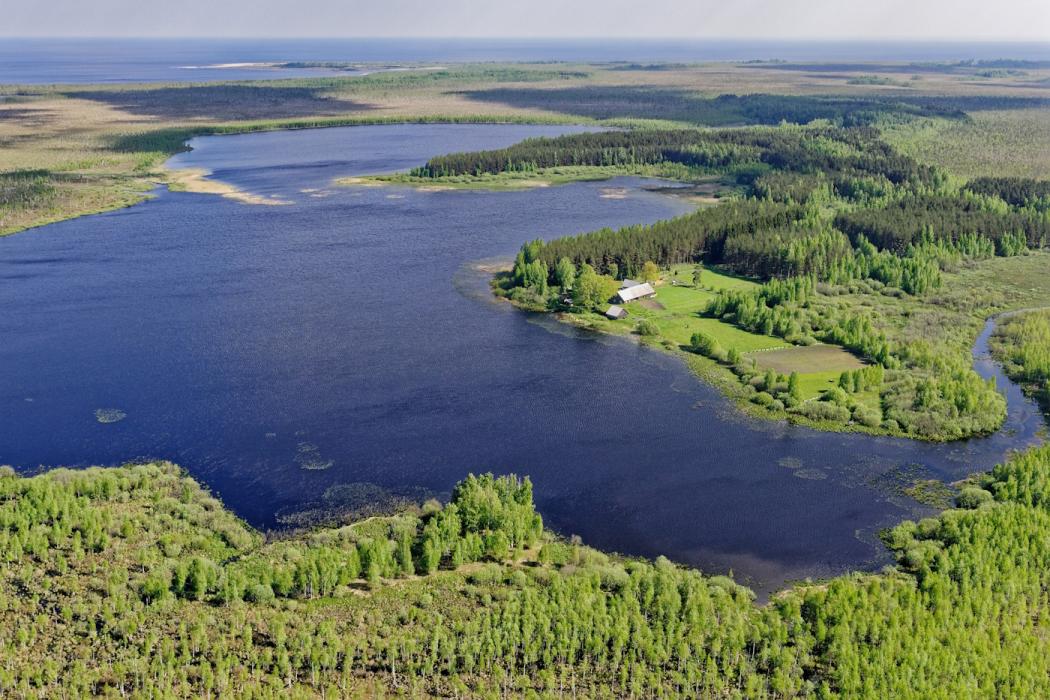 Bird's eye view of Lake Leego.