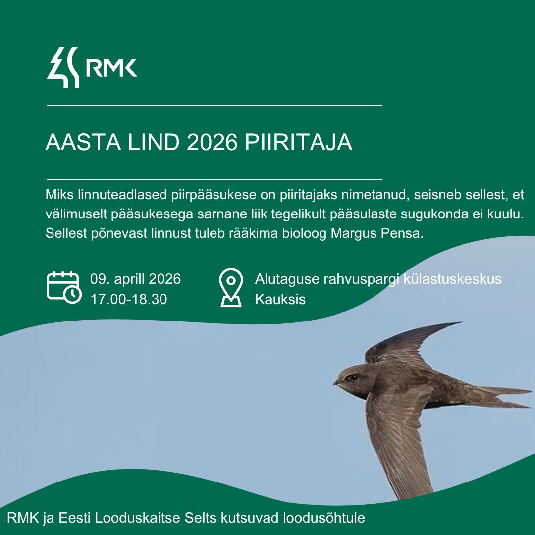 Aasta lind 2026 - piiritaja