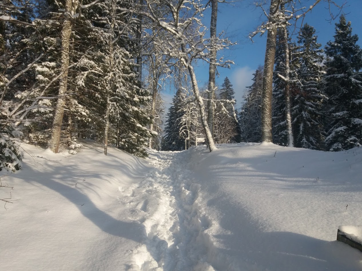 image alt text