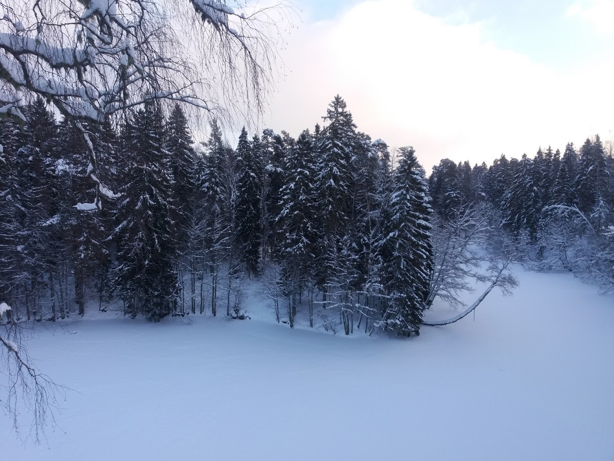 image alt text