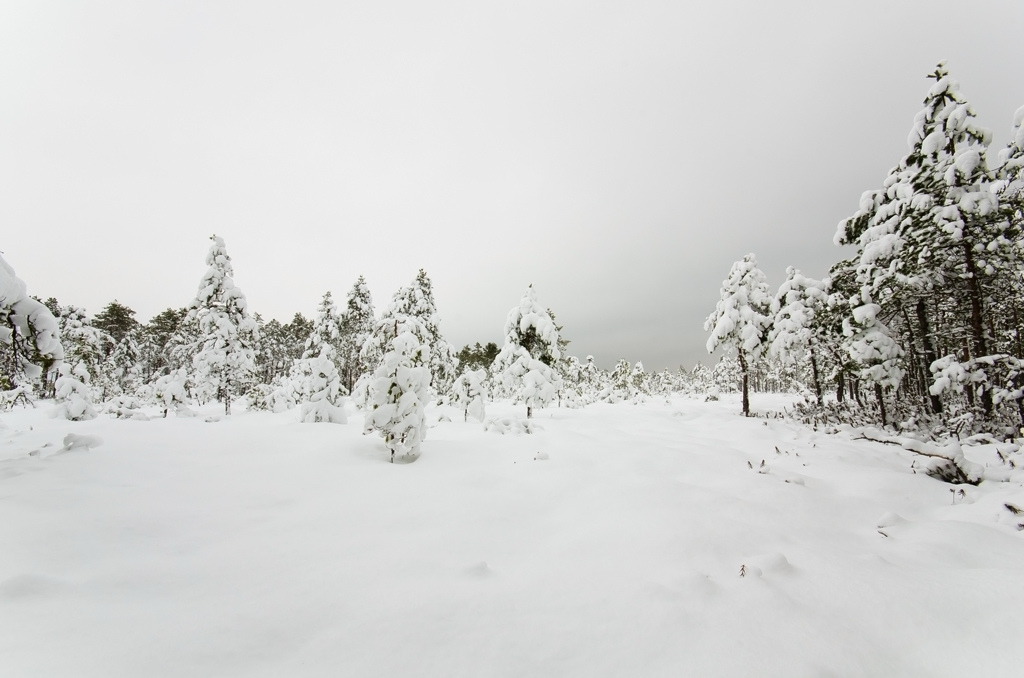 image alt text