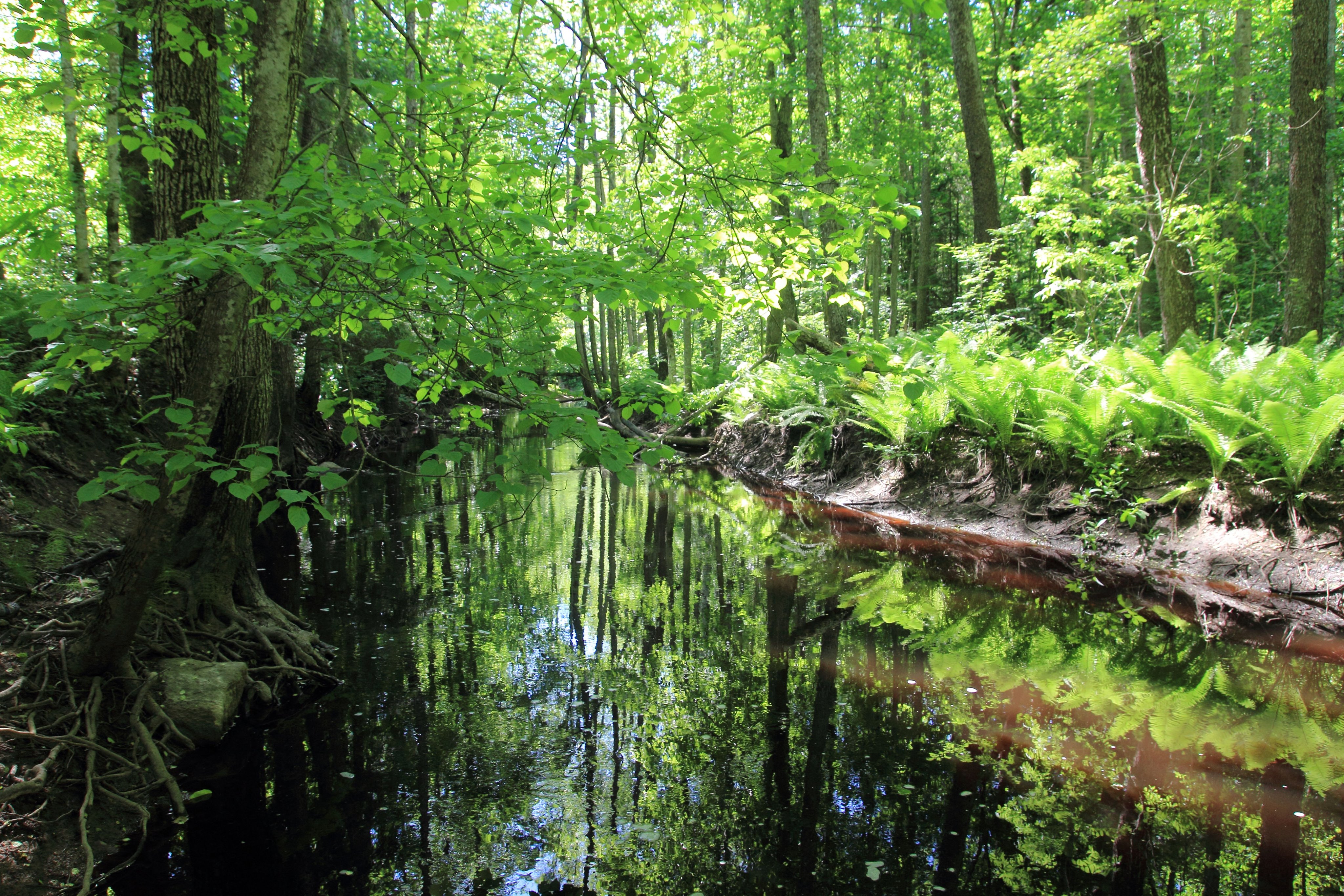 image alt text