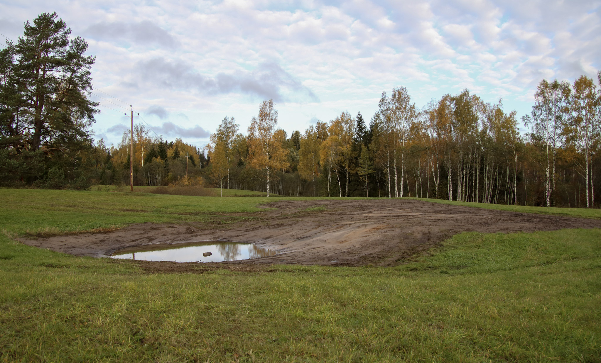 keset rohumaad on väike värskelt taastatud veesilm