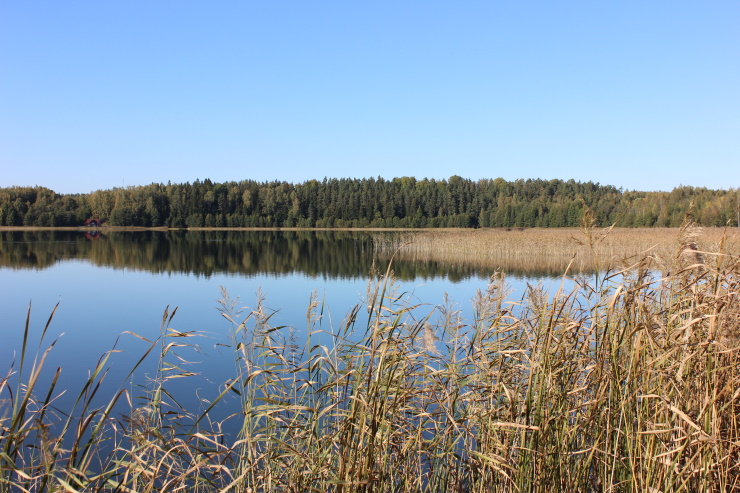 image alt text