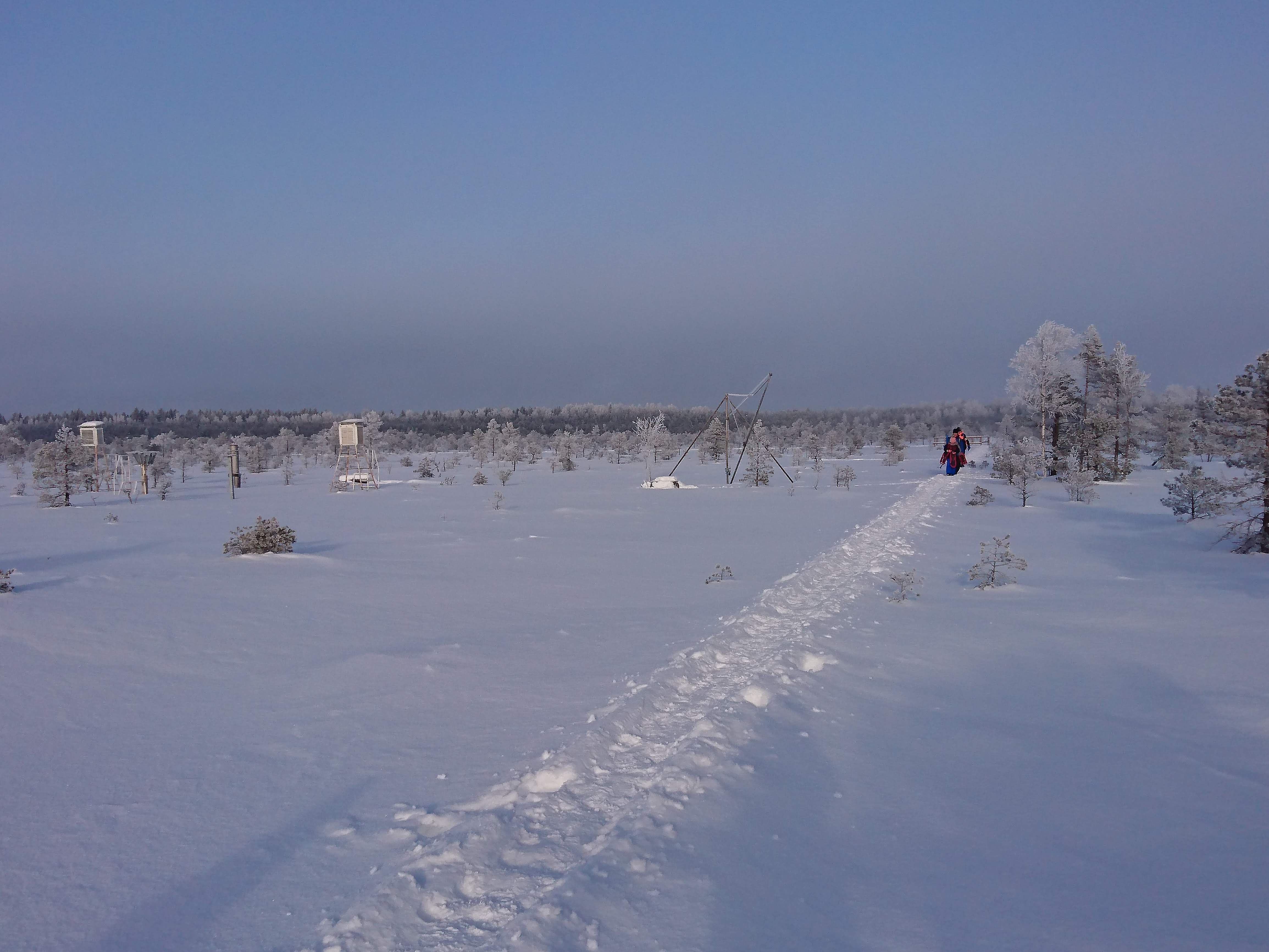 image alt text