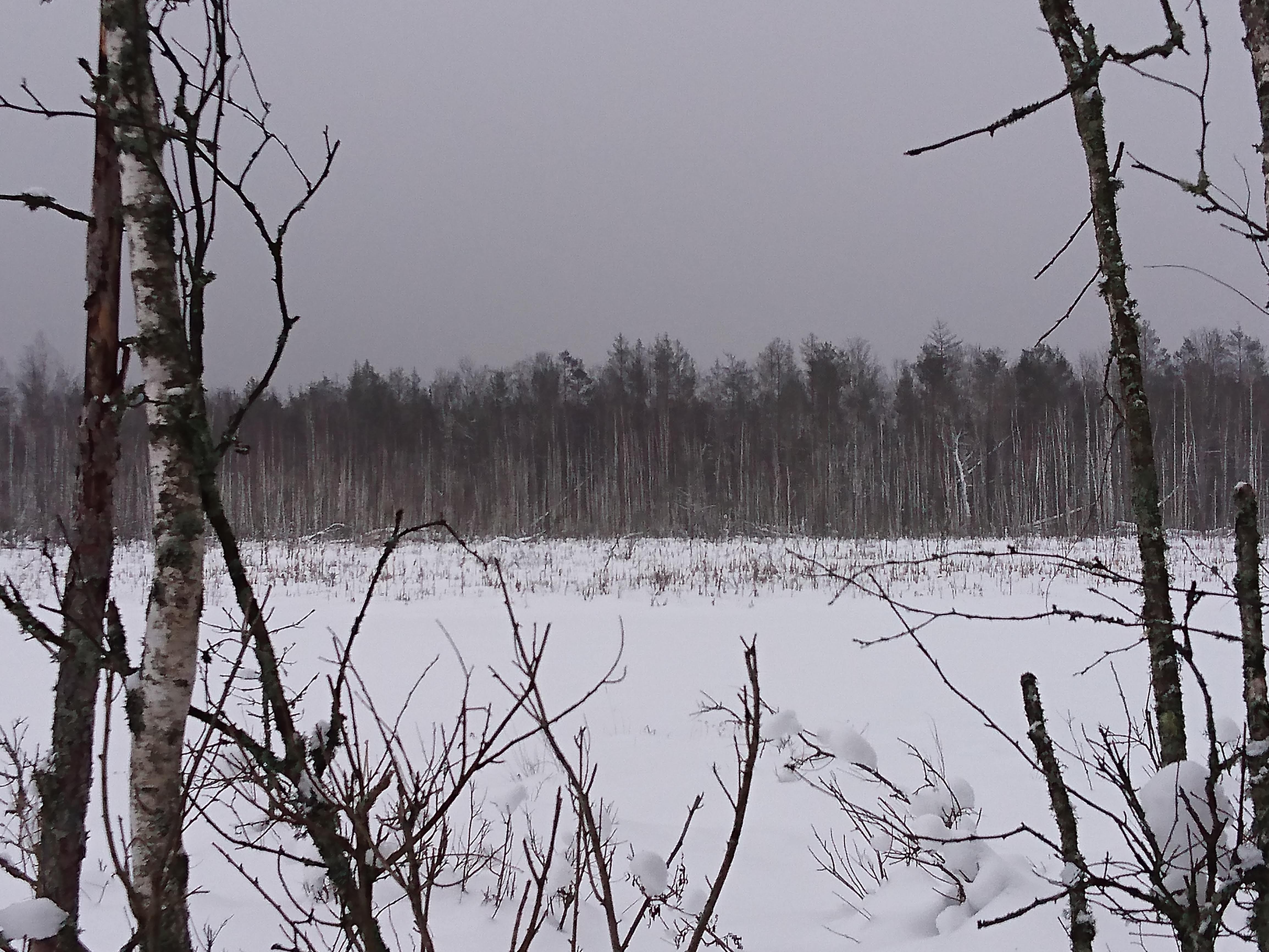 image alt text