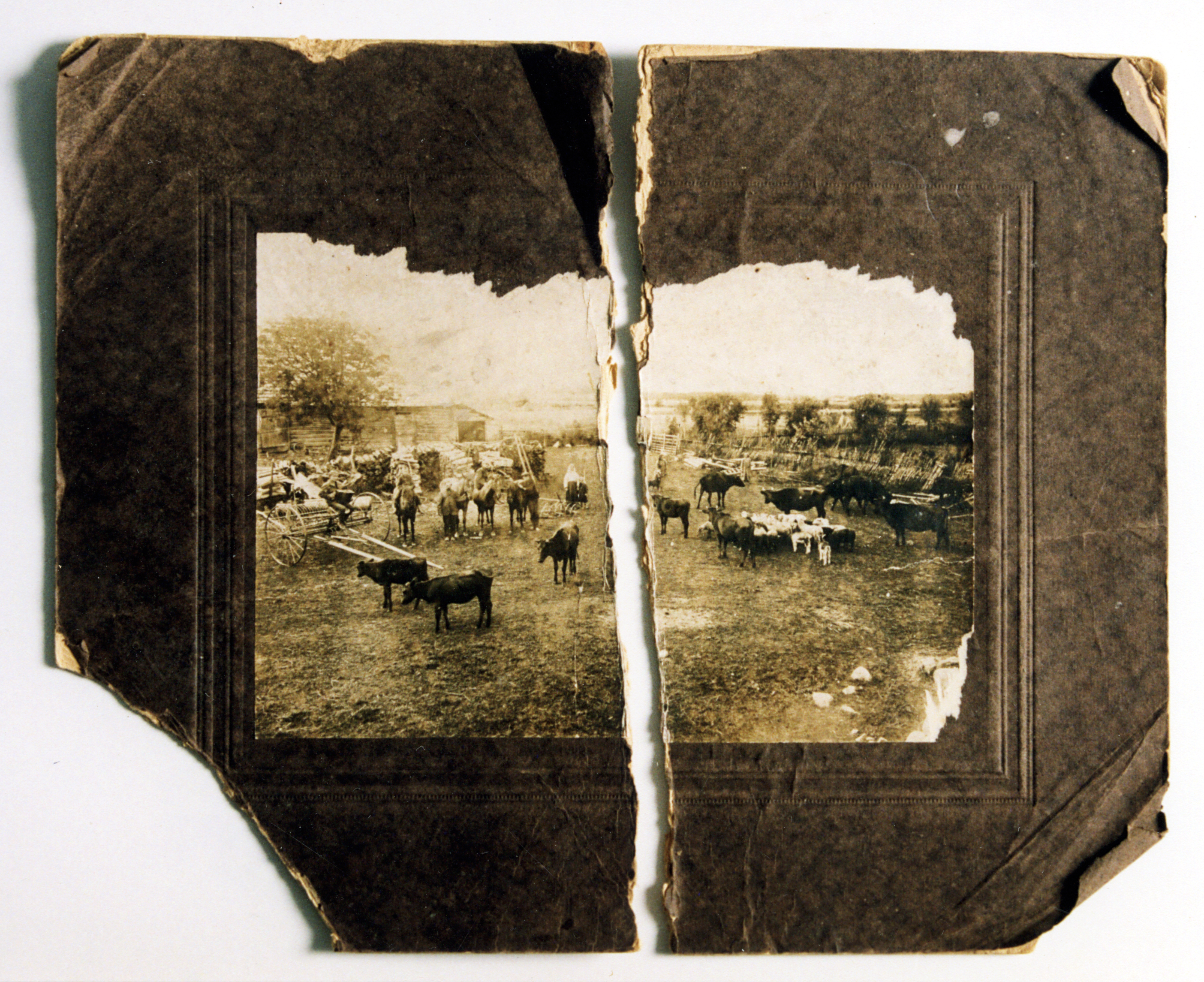 image alt text