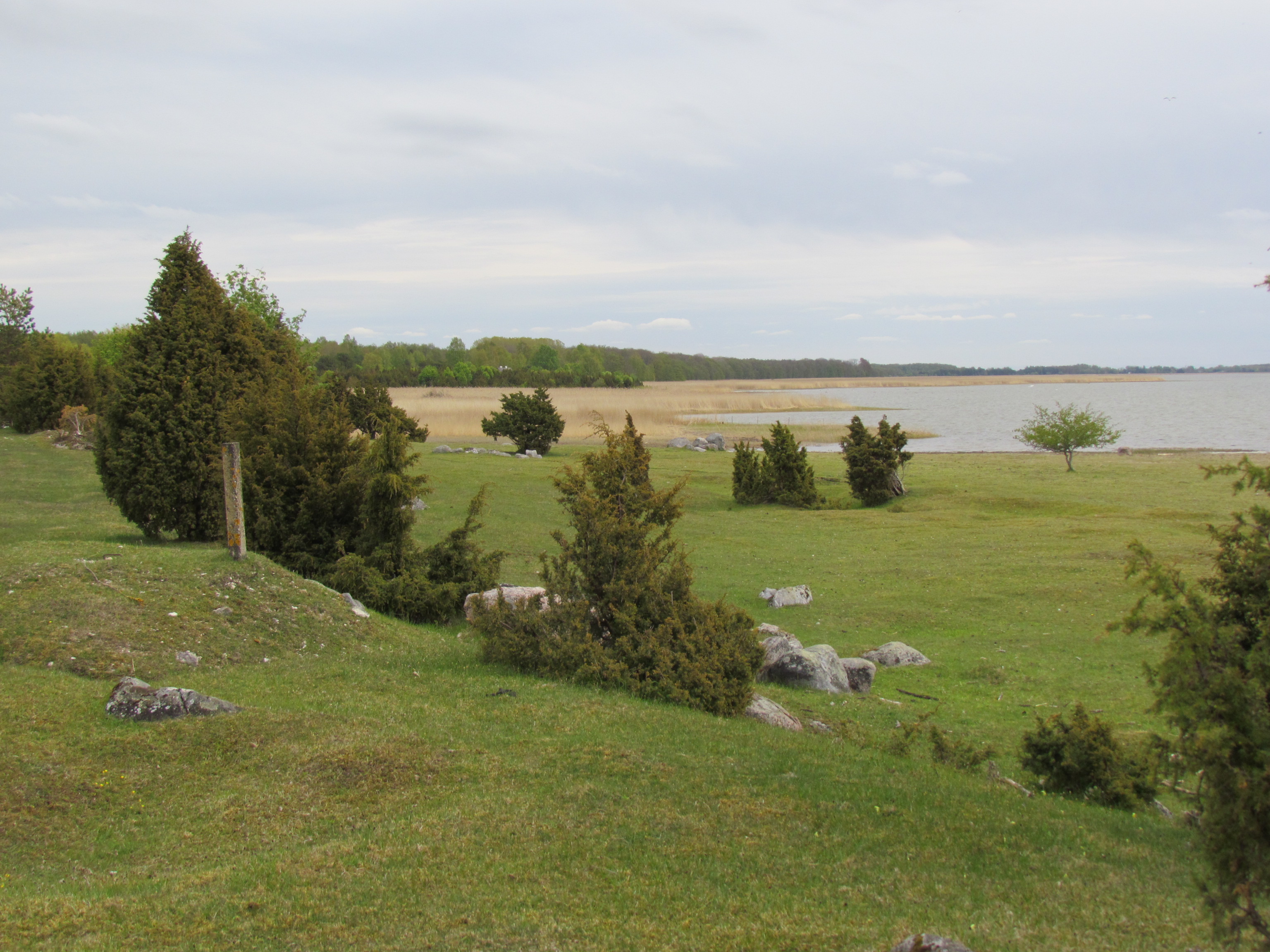 image alt text