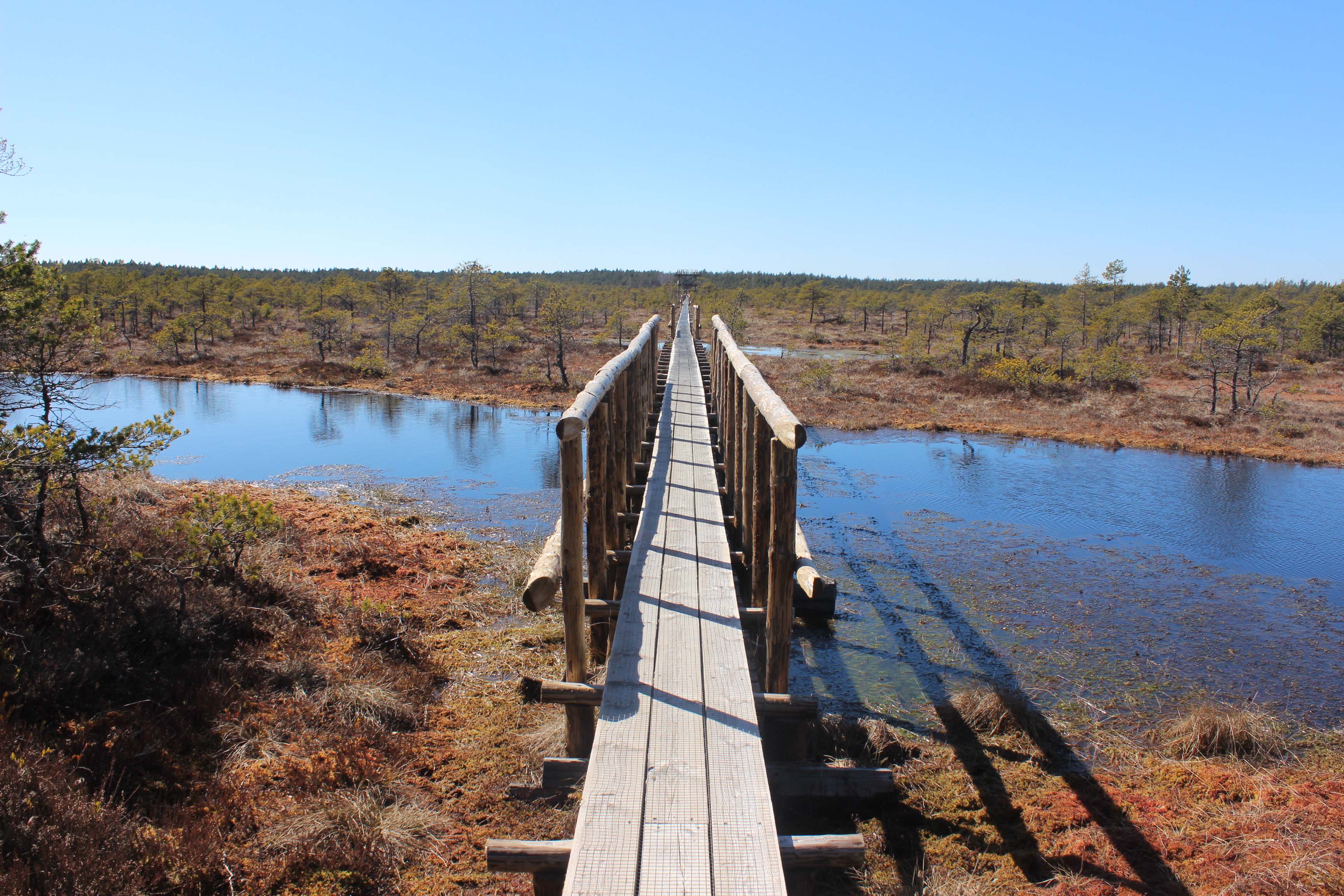 image alt text