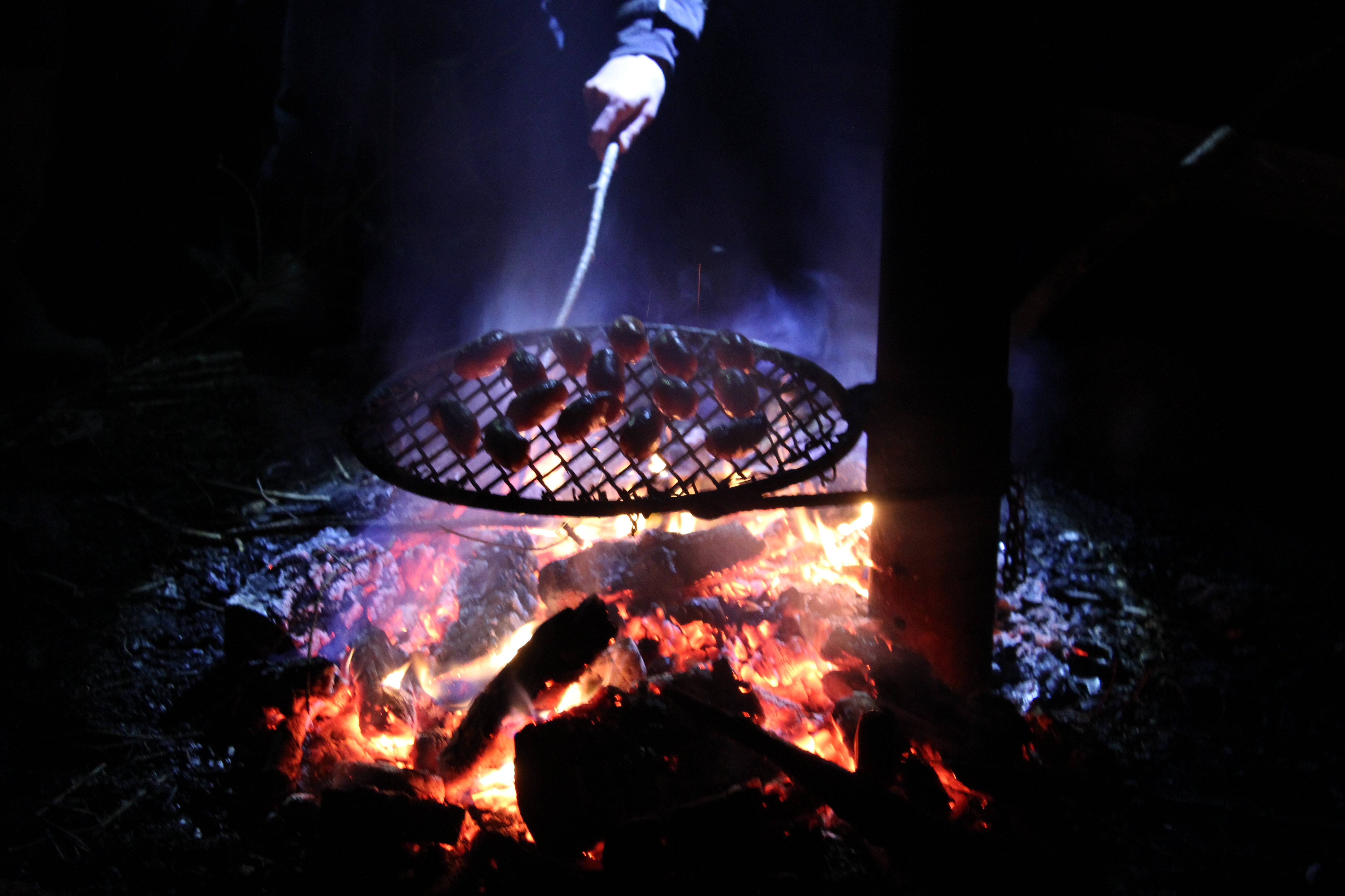 image alt text